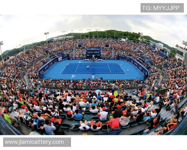 南京网球队在欧锦赛中的比赛经验与表现分析与点评